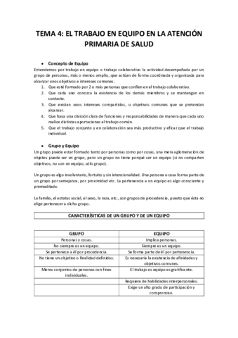 TEMA-4.pdf