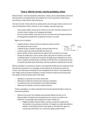 Tema-6.pdf