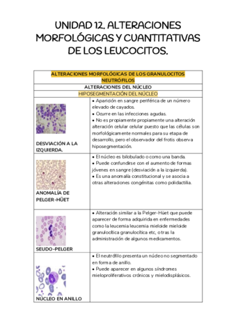 TAREA-12.pdf