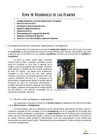 Tema-14.pdf