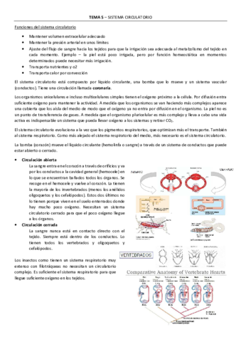 Tema-5-Sistema-circulatorio.pdf