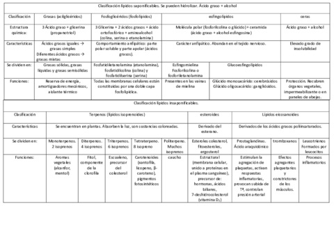 clasificacion-lipidos.pdf