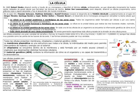 9-LA-CELULA.pdf