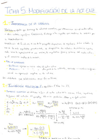 Tema-5-enzimologia.pdf