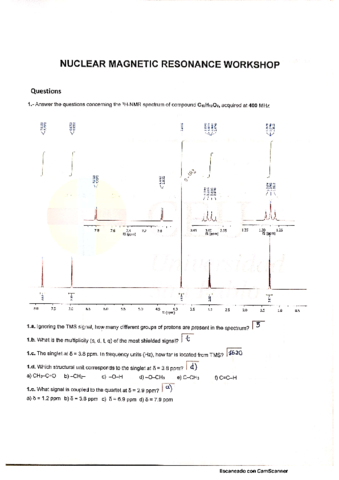 NMR-WORKSHOP.pdf