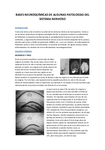 TEMA-11.pdf