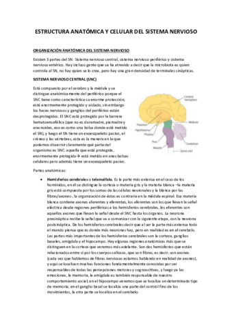 TEMA-2-Autoguardado.pdf
