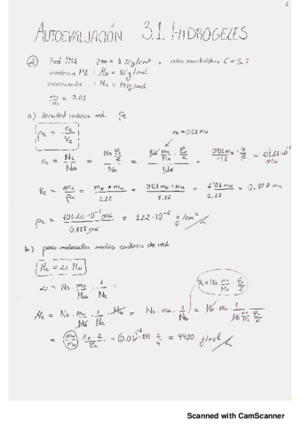 Autoevaluacion-Tema3-1.pdf