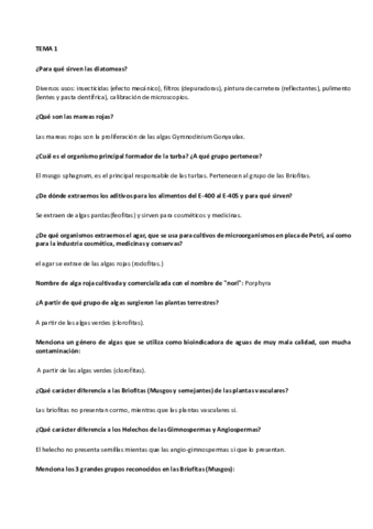 Preguntas-del-1er-Parcialito.pdf