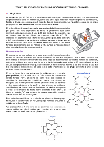 tema-7-bioquimica.pdf
