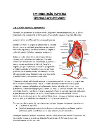 Embriologia-Especial-CV.pdf