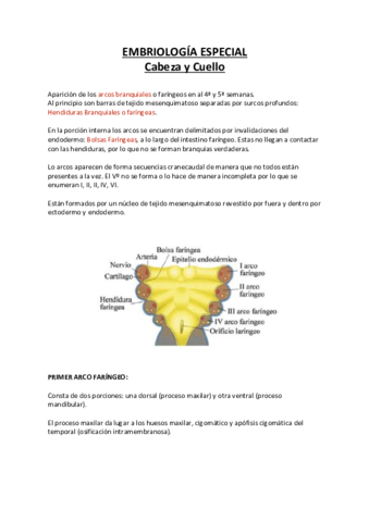 Embriologia-Especial-CC.pdf