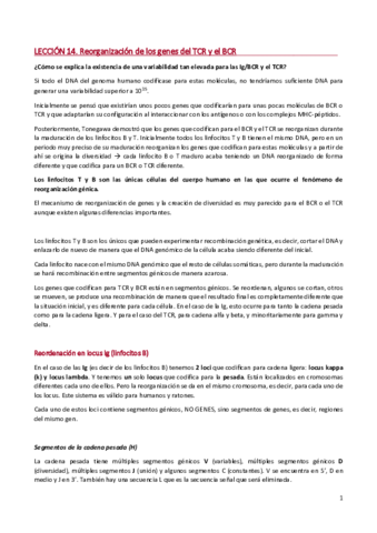LECCIÓN 14. REORGANIZACIÓN DE LOS GENES DEL TCR Y EL BCR.pdf