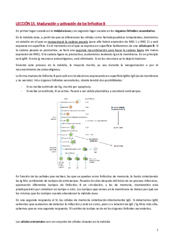 LECCIÓN 15. MADURACIÓN Y ACTIVACIÓN DE LINFOCITOS B.pdf