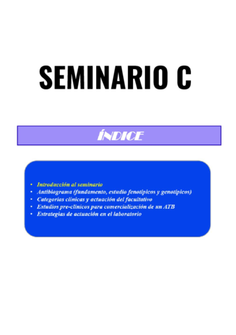 Seminario-C-micro.pdf