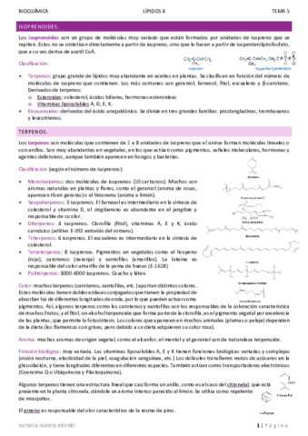T5-BQ.pdf