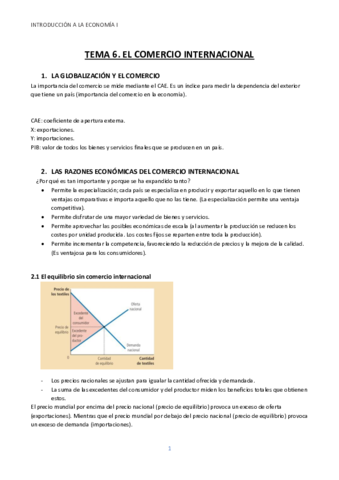 TEMA-6-INTRODUCCION-A-LA-ECONOMIA-I.pdf