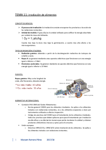 tema-11-TERMINADO.pdf