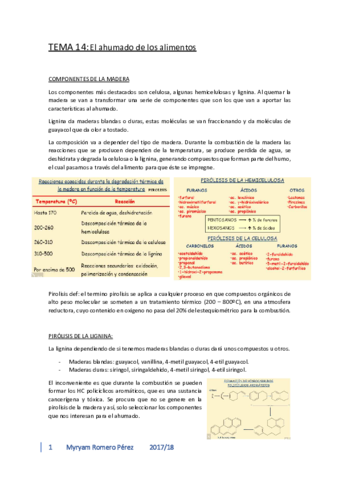 TEMA-14-TERMINADO.pdf