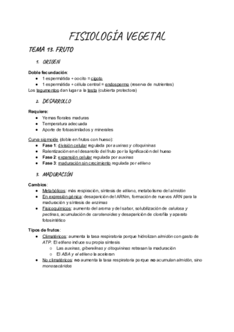 Tema-13-Fruto.pdf