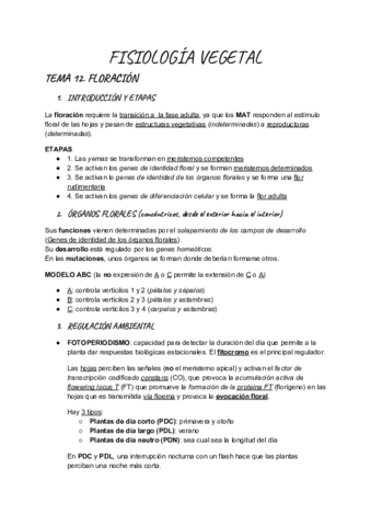 Tema-12-Floracion.pdf