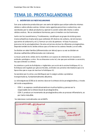 TEMA-10-AMPLIACION-FISIO.pdf