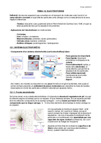 Apunts-Tecniques-Instrumentals-Tema-12.pdf