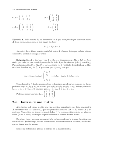 Matrices-inversas-TEMA1.pdf