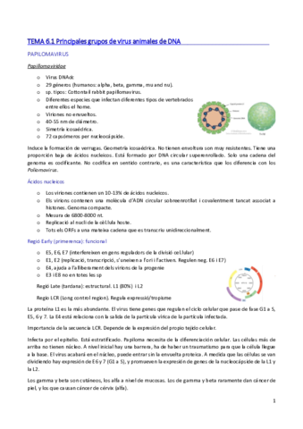 TEMA 6. ESPECIES DE VIRUS DNA Y RNA.pdf