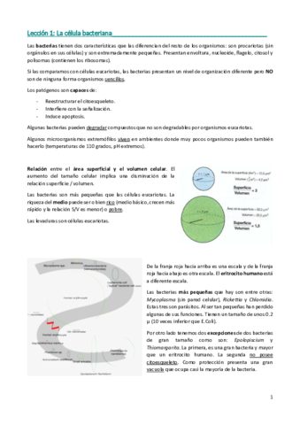 Lección 1. La célula bacteriana (retocada).pdf