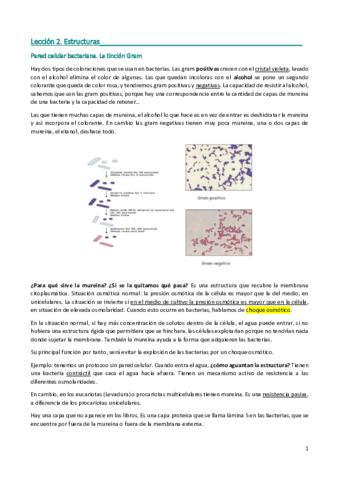 Lección 2. Estructuras (modificado).pdf
