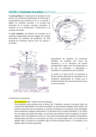 Lección 3. Translocación de proteínas.pdf
