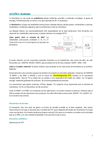 Lección 4. Biosíntesis.pdf