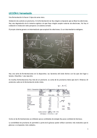 Lección 6. Fermentacion.pdf