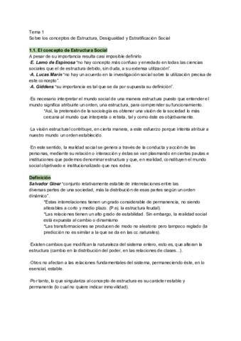 ESTRCTURA-1.pdf