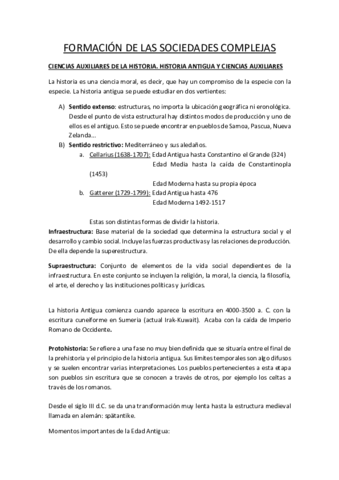 Apuntes completos de Sociedades Complejas.pdf