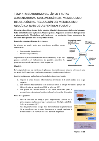 BIOQ-II-T4-a.pdf