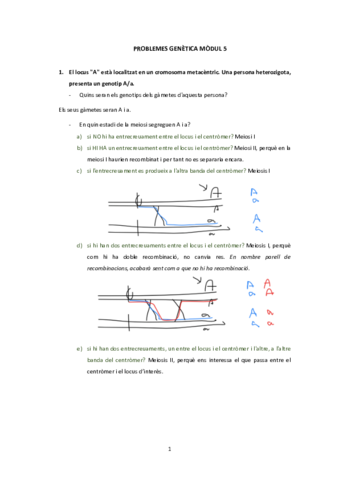 Problemesmodul-5.pdf