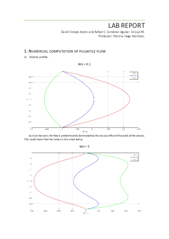 Womersley-lab-report.pdf