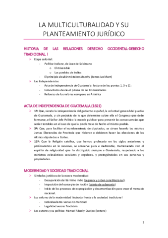 La-multiculturalidad-y-su-planteamiento-juridico.pdf