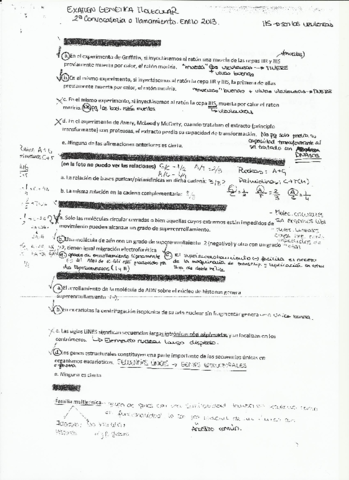 5 - exm genética 3.pdf