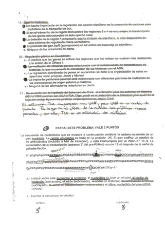 9 - Doc1.pdf