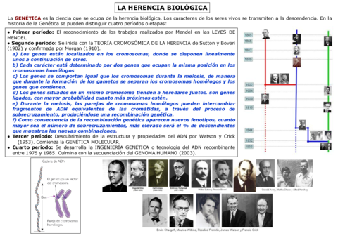14-15-GENETICA-MENDELIANADEL-SEXO-Y-HUMANA.pdf