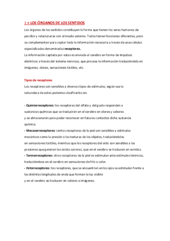 organos-de-los-sentidos.pdf