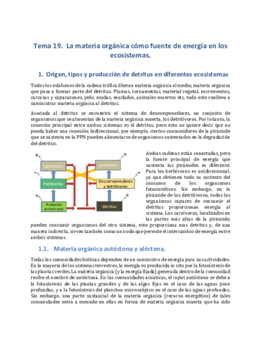 Tema-19.pdf