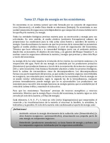 Tema-17.pdf
