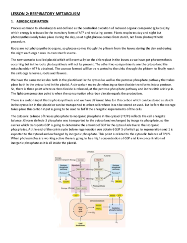 LESSON-2.pdf