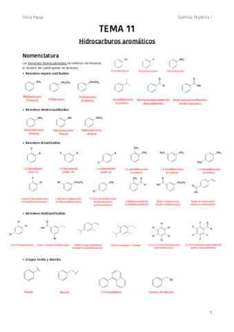 TEMA-11-Hidrocarburos-aromaticos.pdf