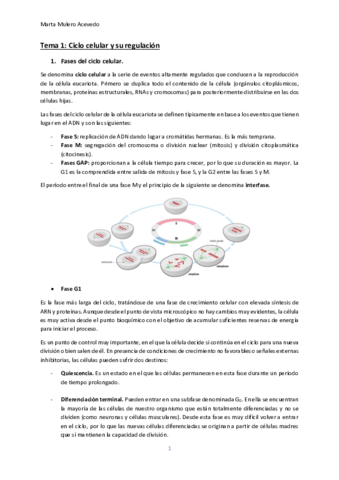 Tema-1.pdf