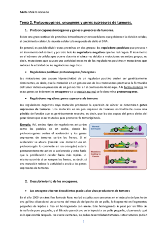 Tema-2.pdf